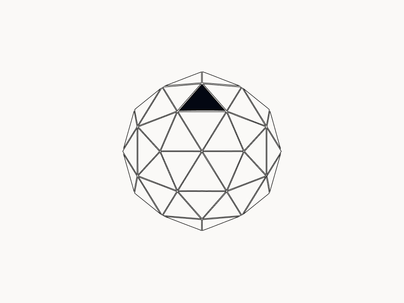 Geodesic dome wireframe — the brand's structural metaphor